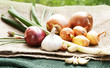Zwiebeln, Knoblauch etc. auf Jute