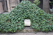 Quadrarco Braccioforte, Dante remains, Ravenna, IT