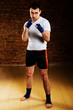 fighter