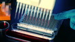 Video: Use multi pipette in microbiology Use multi pipette in microbiology
