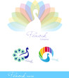 Peacock_1