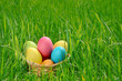 Photo: Easter eggs in the basket on the green grass Easter eggs in the basket on the green grass