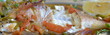 poisson