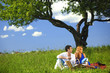Foto: picnic picnic