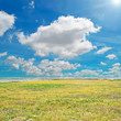 meadow and sky