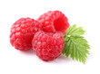 Photo: Raspberry with leaf Raspberry with leaf