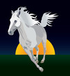 Whitehorse