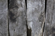 wooden panels