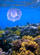 Landscape under water