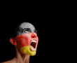 The German flag