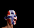 The Norwegian flag