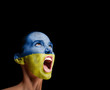 The Ukrainian flag