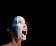 The French flag
