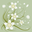 Vector: Vector Floral Background Vector Floral Background