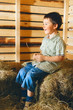 Boy on Hayloft