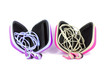 Earphones