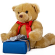 Toy bear with gift