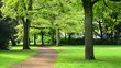 Pakanlage mit Weg und altem Baumbestand mit schwachen Wind