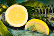 Foto: Angeschnittene Zitrone Italien Vintage Style Angeschnittene Zitrone Italien Vintage Style