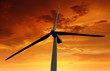 Wind turbines in the sunset