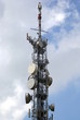 Trellis telephone