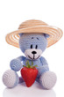 cute blue teddy bear with hat and fresh strawberries