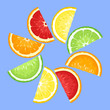 Citrus fruits slices on blue. Vector illustration.