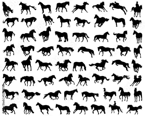 Vector: Big set of horses silhouettes Big set of horses silhouettes