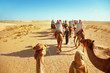 Sahara desert