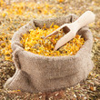 sack of healing herbs and wooden scoop, herbal medicine