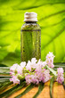 Aromatherapy.