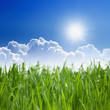 Eco background