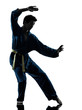 karate vietvodao martial arts man silhouette