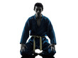 karate vietvodao martial arts man silhouette