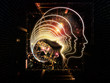 Lights of Consciousness