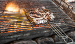 Grilled Squid on Fire