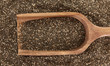 Wooden Scoop In Chia Seeds