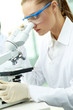 Foto: Working with microscope Working with microscope