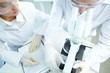 Researchers at work