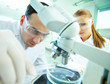Photo: Laboratory research Laboratory research