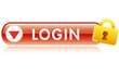 LOGIN BUTTON ICON