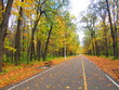 Park