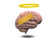 Healing Brain