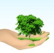 Human hand with grass and tree. Vector