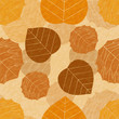 Vektor: Autumn leaves seamless background. Autumn leaves seamless background.