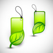 Vector: Blank Eco tags, stickers or labels, Nature concept. Blank Eco tags, stickers or labels, Nature concept.