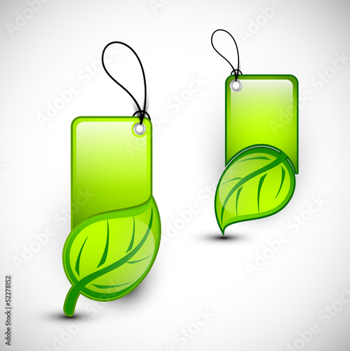 Vector: Blank Eco tags, stickers or labels, Nature concept. Blank Eco tags, stickers or labels, Nature concept.