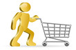 Human and shopping cart