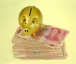 piggy bank and one-hundred rmb bill