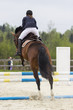 Photo: Horse jump a hurdle in a competition Horse jump a hurdle in a competition